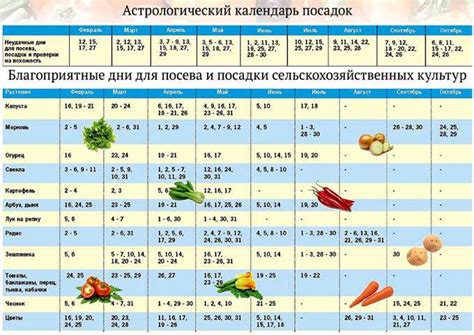 Как определить подходящую погоду для высадки