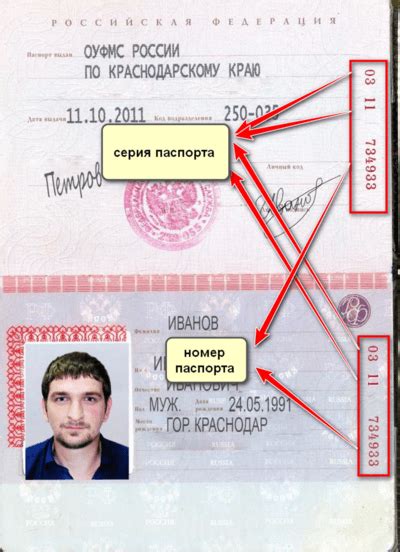 Как определить серию и номер паспорта ребенка: шаг за шагом
