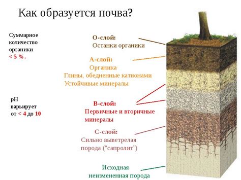 Как определить тип грунта на участке