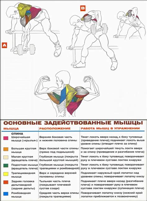 Как правильно обхватить гантели руками