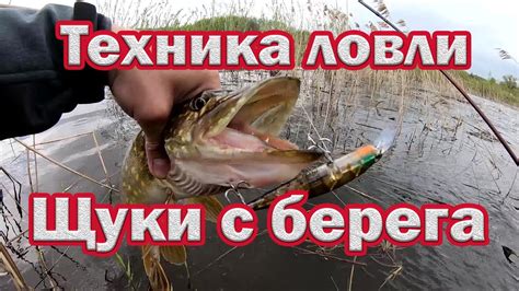 Как правильно проводить ловлю щуки в октябре