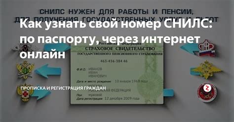 Как проверить свой СНИЛС по паспорту и распечатать на сайте Минтруда РФ?