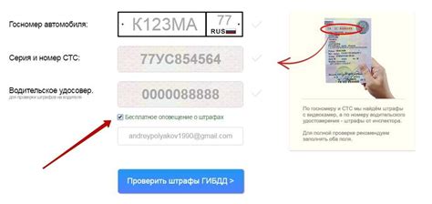 Как проверить статус СТС по номеру государственного регистрационного знака?