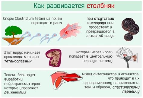 Как происходит заражение столбняком?