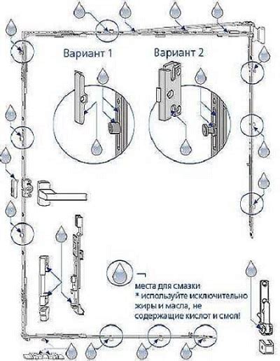 Как работает механизм закрывания век?