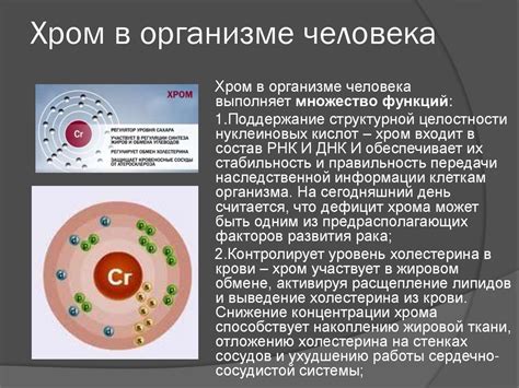 Как работает хром в организме