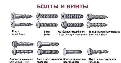 Как распознать уилбура
