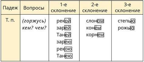 Как склонить фамилию Гаркуша в творительном падеже