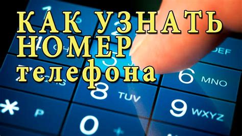 Как узнать свой номер