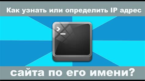 Как узнать IP-адрес сайта или домена