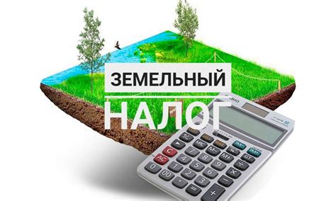 Когда и как платить земельный налог за 2022 год