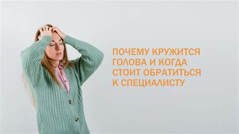 Когда и почему стоит обратиться в приют