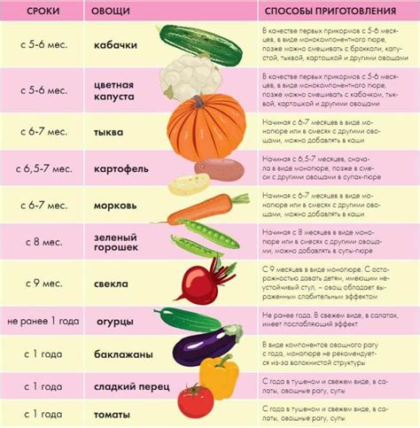 Когда можно вводить дополнительные пищевые продукты