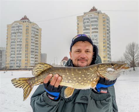 Когда начинается зимний жор щуки?