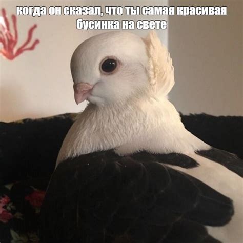 Когда он сказал, что ты красивая: эмоции и ответы