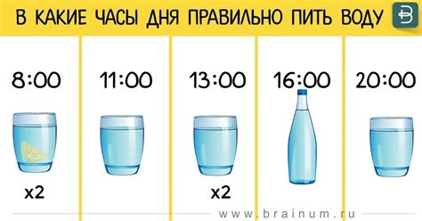 Когда самый лучший момент для питья воды?