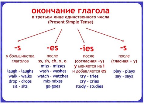 Когда ставится буква "s" в английском?