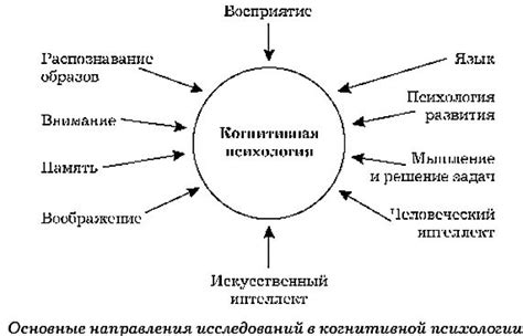 Когнитивная психология: Стеснительность в когнитивных процессах