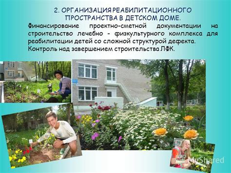 Контроль над структурой брокколи