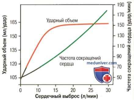 Контроль сердечного выброса при тренировках