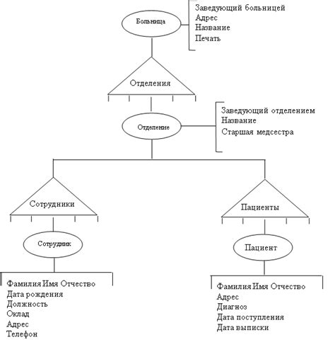 Концептуальное проектирование базы данных