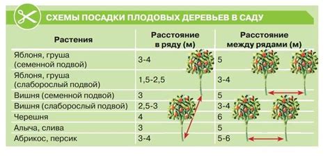 Критерии выбора мест для посадки деревьев в Москве