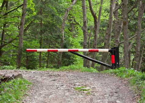 Кроссовки в ресторане: возможно ли посещение и что нужно знать