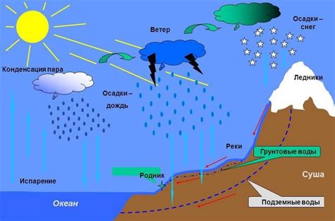 Круговорот воды: история и открытие