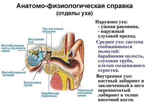 Лечение заложенности уха