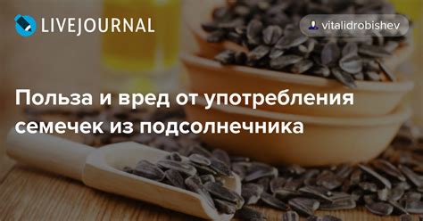 Лучшие способы употребления семечек подсолнечника