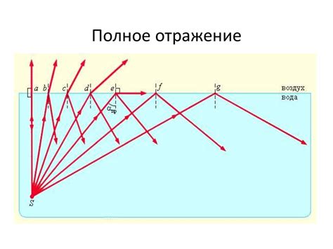 Магия света и отражения: феномен в природе