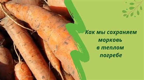 Маринование: сохраняем морковь в уксусе