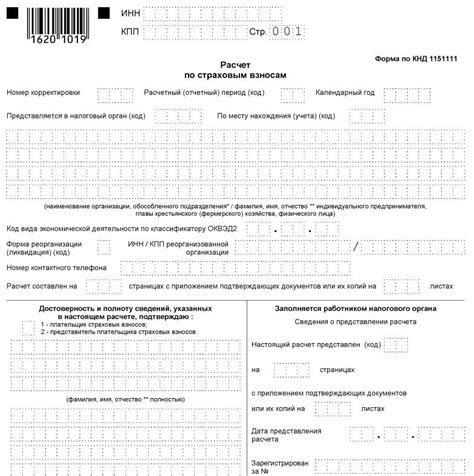 Материнская помощь и правила РСВ