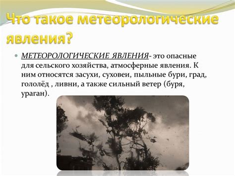 Метеорологические явления, влияющие на появление тумана