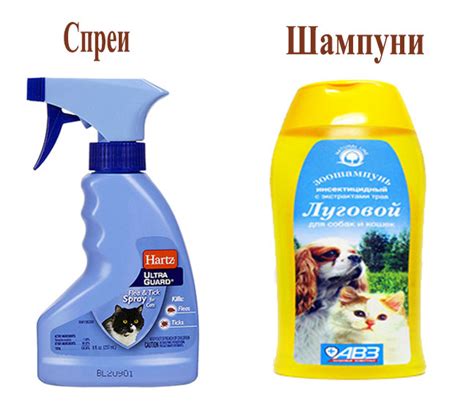 Методы борьбы с вшами у кошек