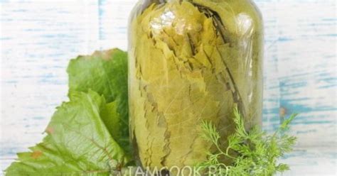 Методы замораживания маринованных виноградных листьев