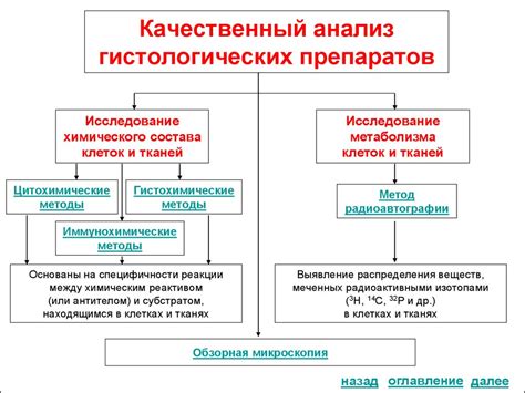 Методы исследования гистологии плаценты