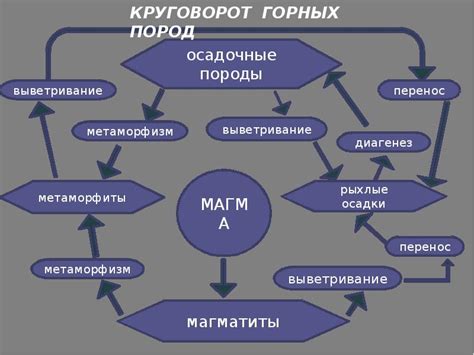 Методы определения породы