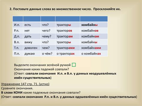 Методы определения рода местоимений во множественном числе