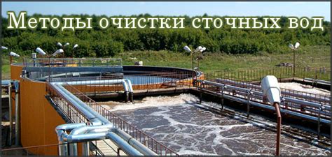 Методы очистки дайкона