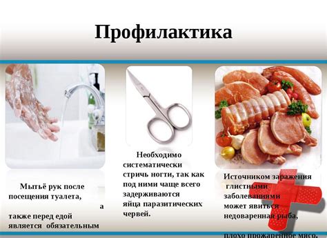 Методы профилактики глистных инфекций