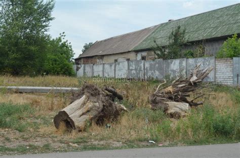 Методы удаления пня яблони без выкорчевывания