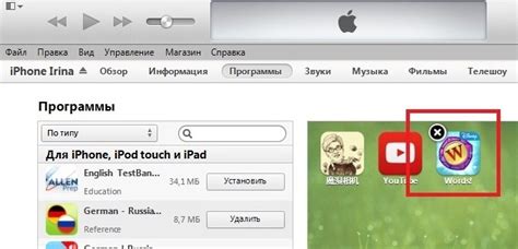 Метод 1: Удаление через iTunes