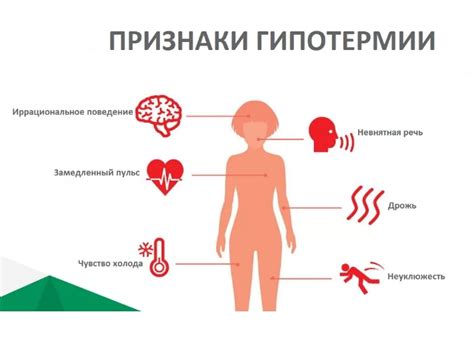 Механизмы воздействия малины на температуру организма