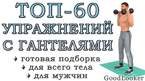 Механизм влияния упражнений с гантелями на работу глазных мышц