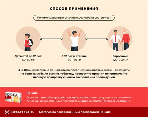 Механизм действия но-шпы при поносе