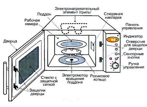 Микроволновка: принцип работы и главные особенности