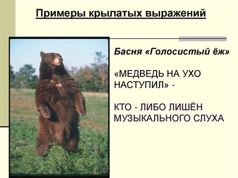 Мифологическая сущность басен и ее роль в обществе