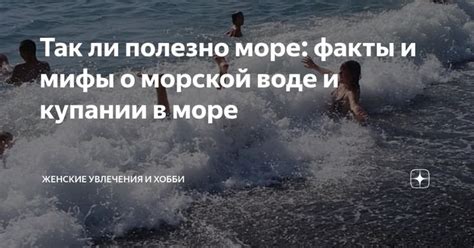 Мифы и факты о купании в холодном море