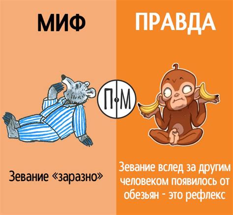 Мифы о кормлении бананами